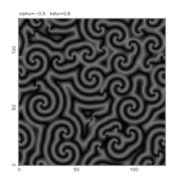 numerical-simulation